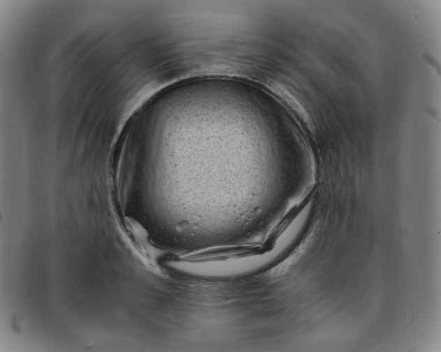 X0000097500989200803071758