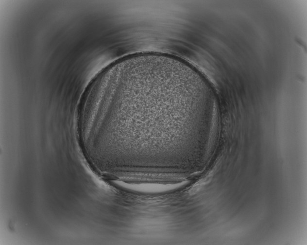 X0000097500991200803071758