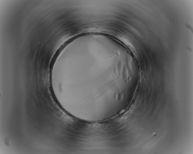X0000097500992200803071758