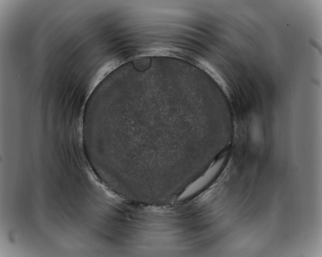 X0000097500994200803071758