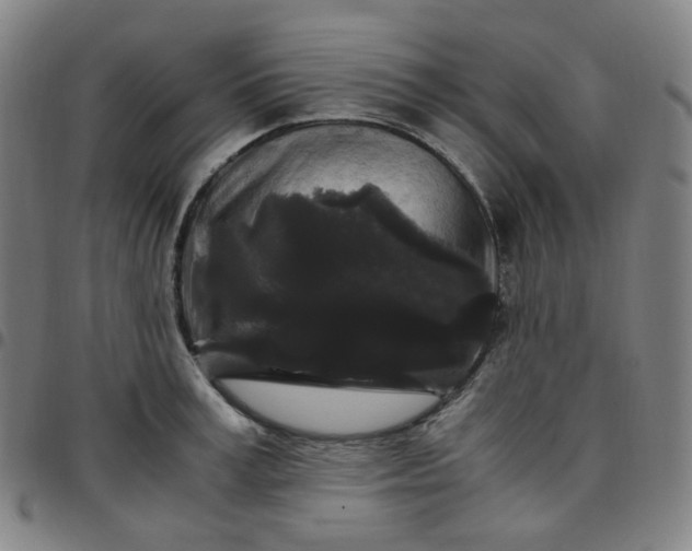 X0000097500995200803071758