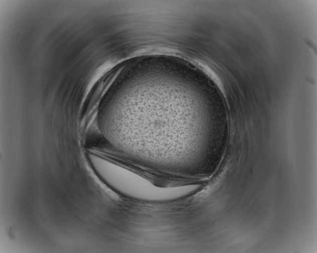 X0000097500997200803071758