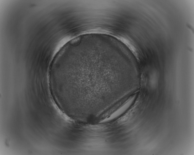 X0000097500998200803071758