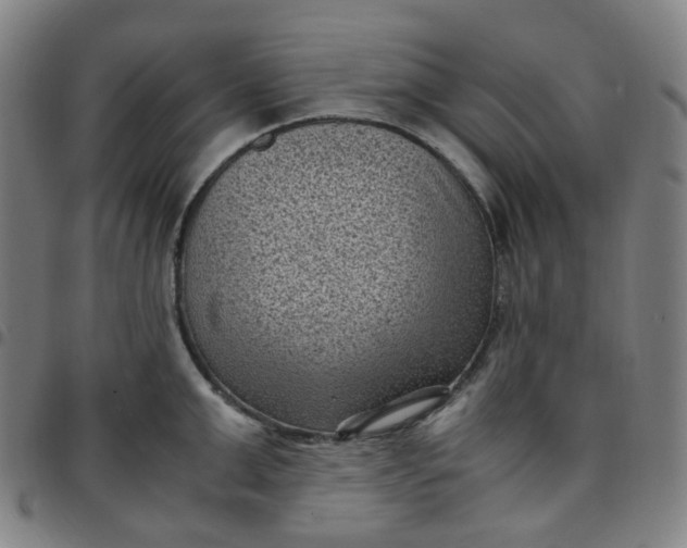 X0000097500999200803071758
