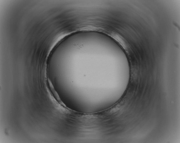 X0000097501000200803071758