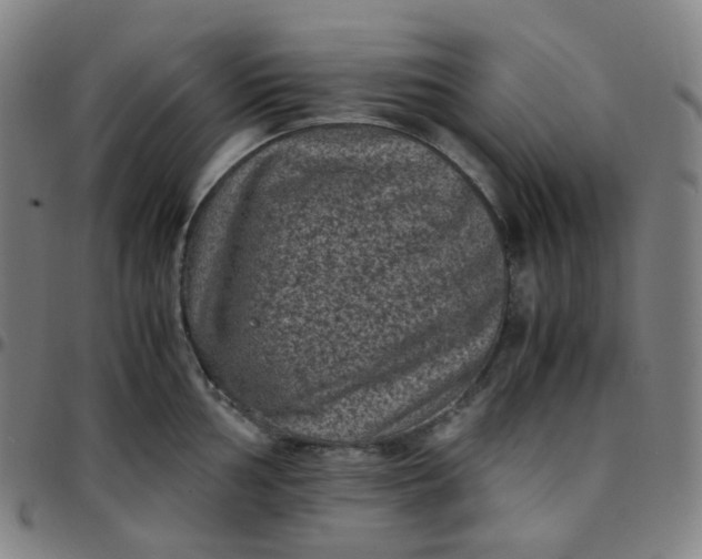 X0000097501002200803071758