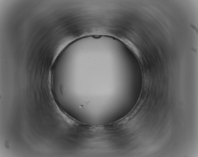 X0000097501006200803071758