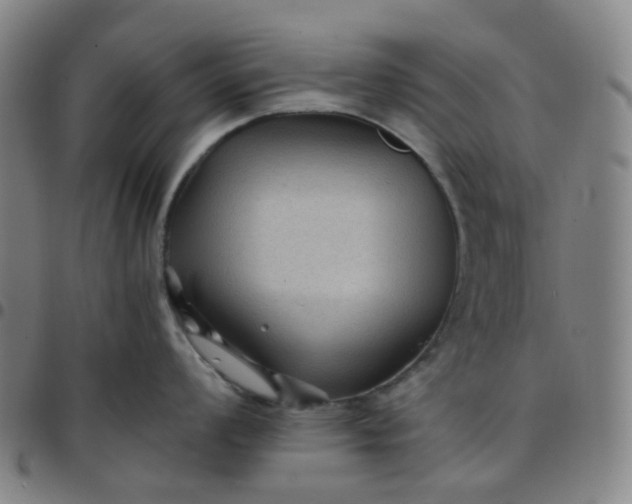 X0000097501008200803071758