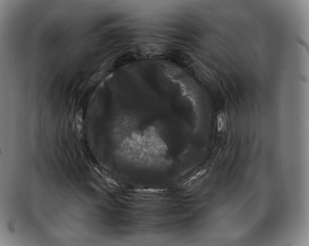 X0000097501011200803071757