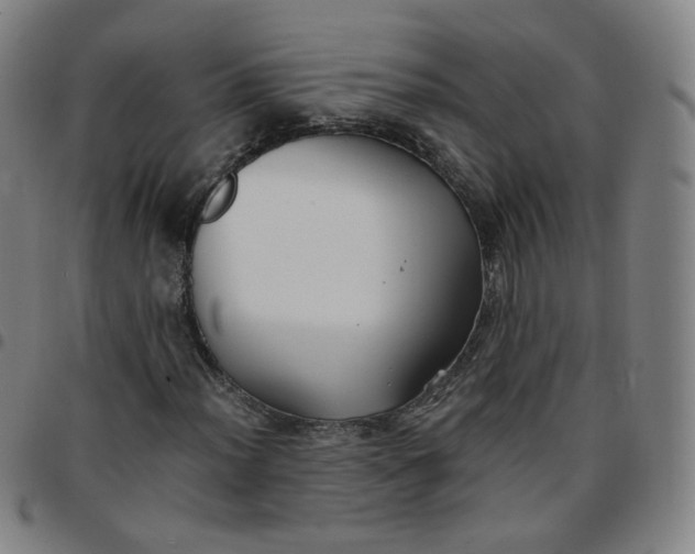 X0000097501012200803071757