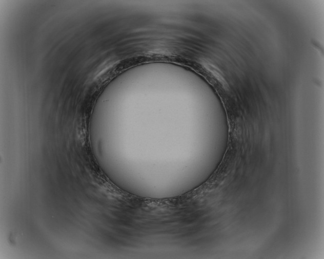 X0000097501015200803071757