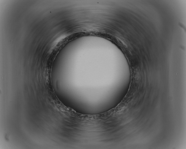 X0000097501016200803071757