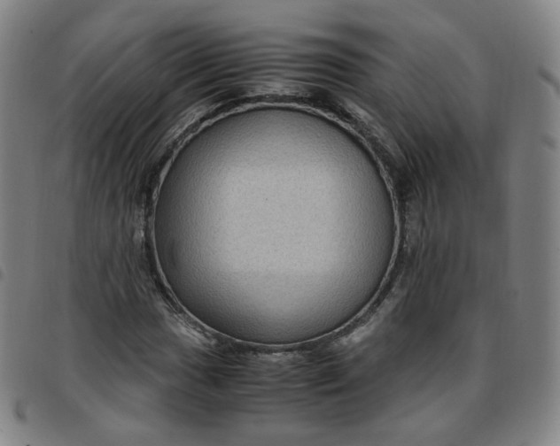 X0000097501017200803071757