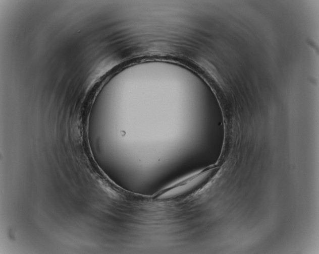 X0000097501018200803071757