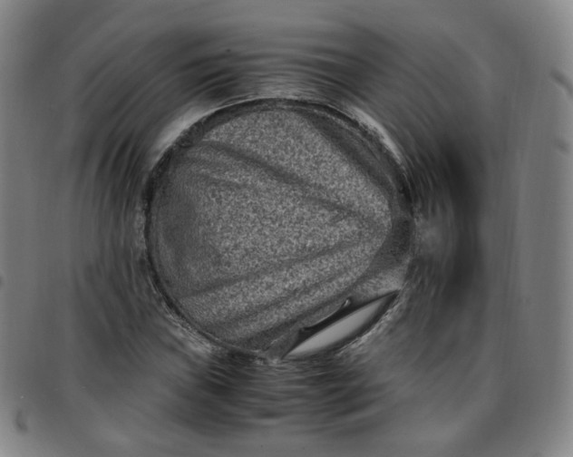 X0000097501019200803071757