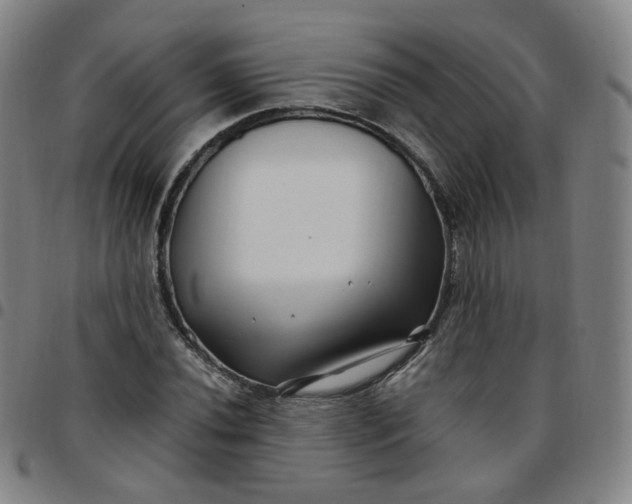 X0000097501020200803071757