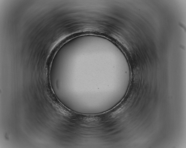 X0000097501021200803071757