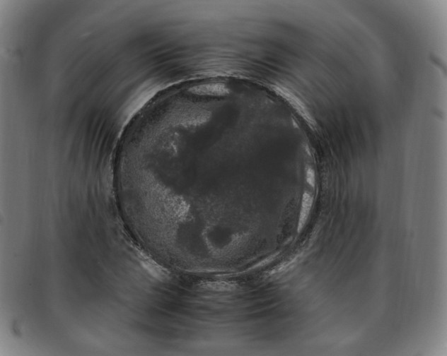 X0000097501023200803071757