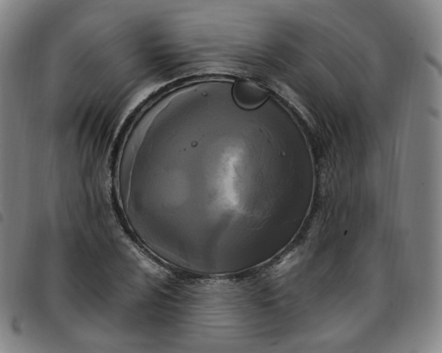 X0000097501024200803071757