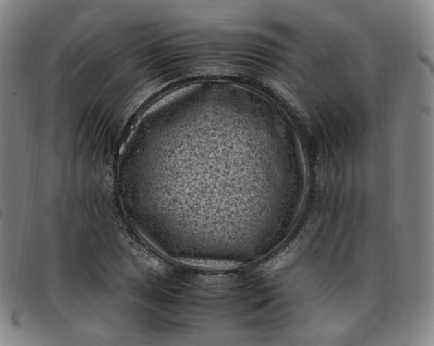 X0000097501025200803071757