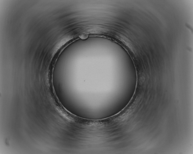 X0000097501026200803071757