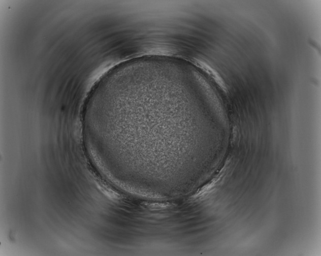 X0000097501027200803071757