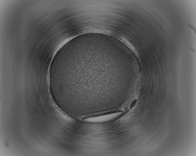 X0000097501028200803071757