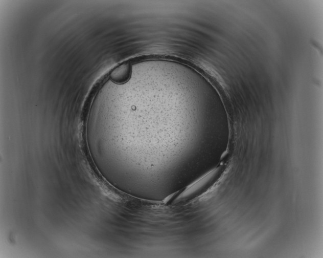 X0000097501029200803071757