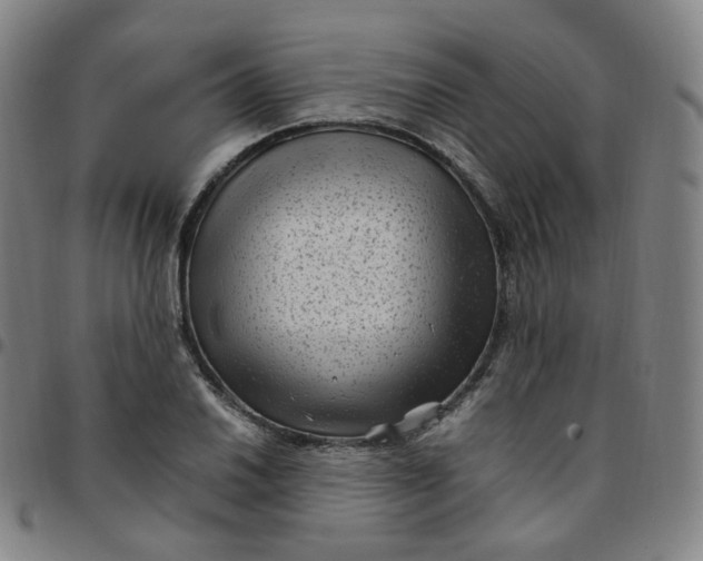 X0000097501030200803071757
