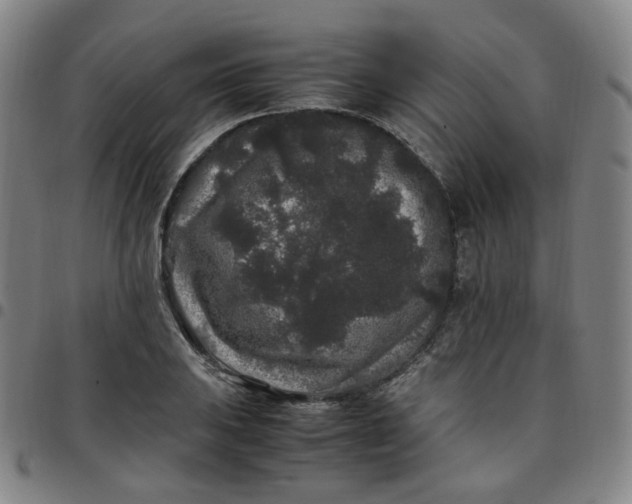 X0000097501031200803071757