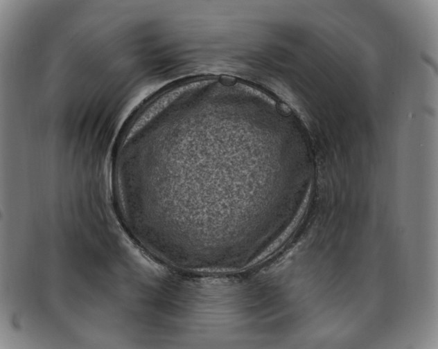 X0000097501032200803071757
