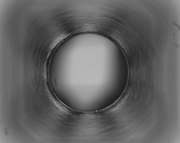 X0000097501034200803071757