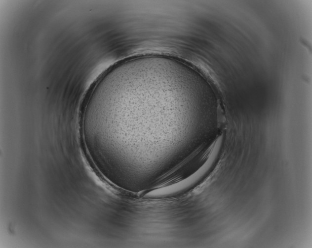 X0000097501038200803071758