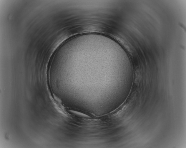 X0000097501039200803071758