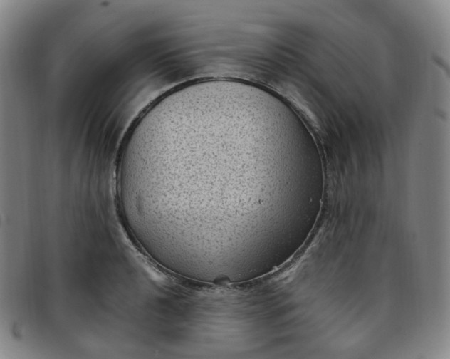 X0000097501040200803071758