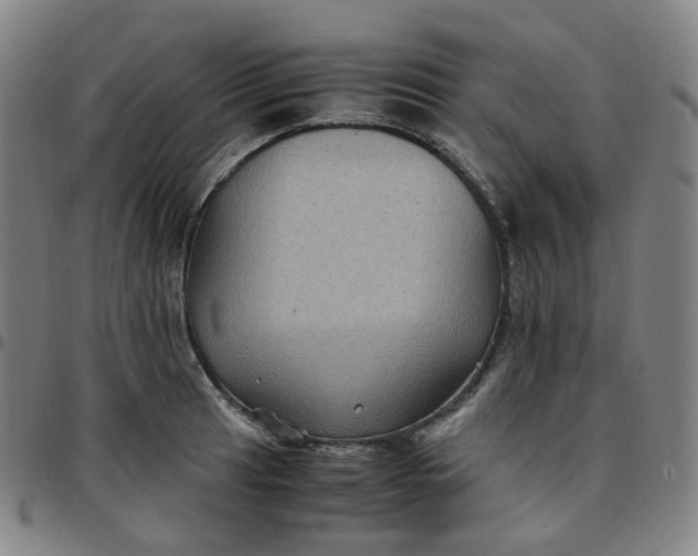 X0000097501041200803071758