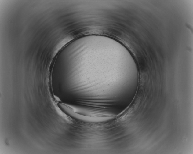 X0000097501042200803071758