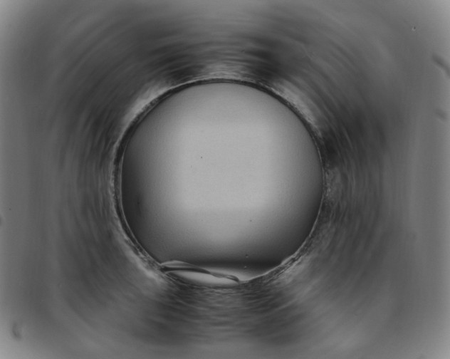 X0000097501043200803071758