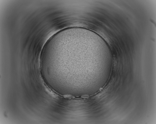 X0000097501044200803071758