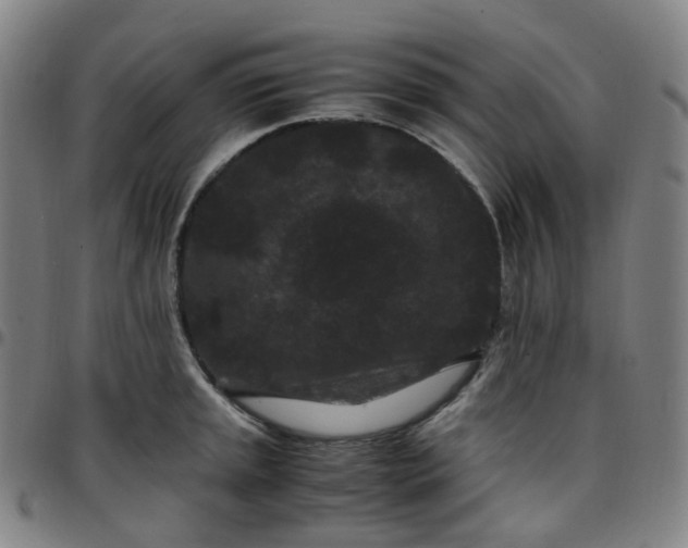 X0000097501045200803071758