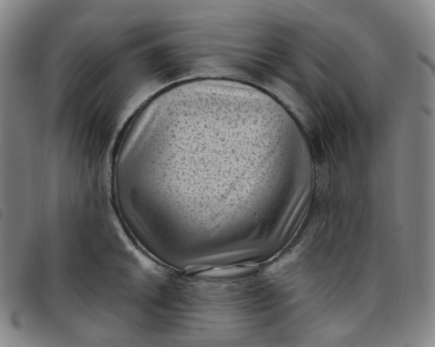 X0000097501046200803071758