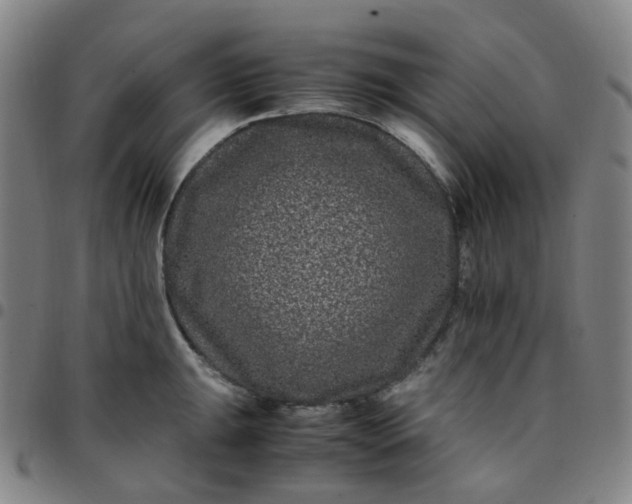 X0000097501047200803071758