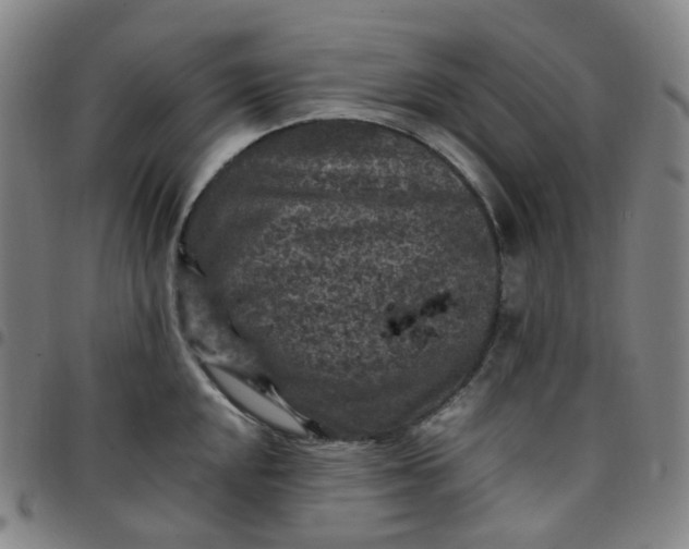 X0000097501048200803071758