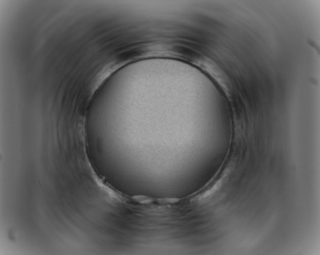 X0000097501049200803071758