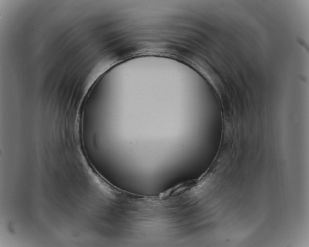 X0000097501050200803071758