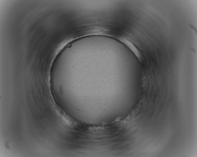 X0000097501051200803071758