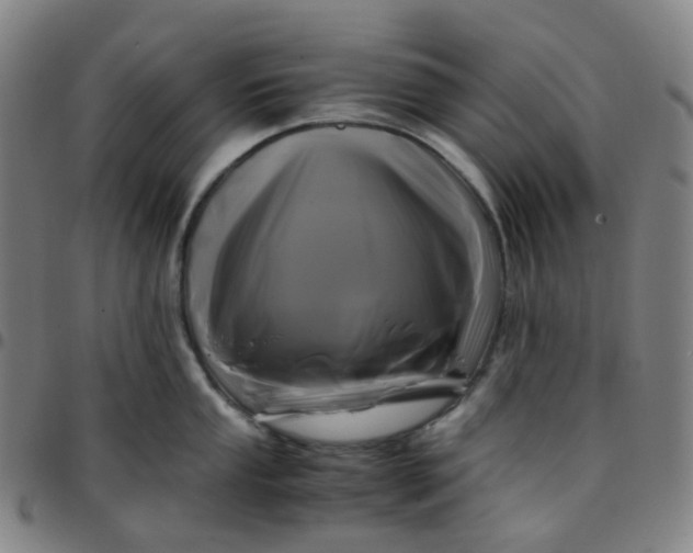 X0000097501053200803071758