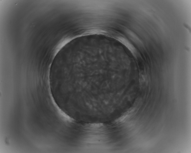 X0000097501055200803071758