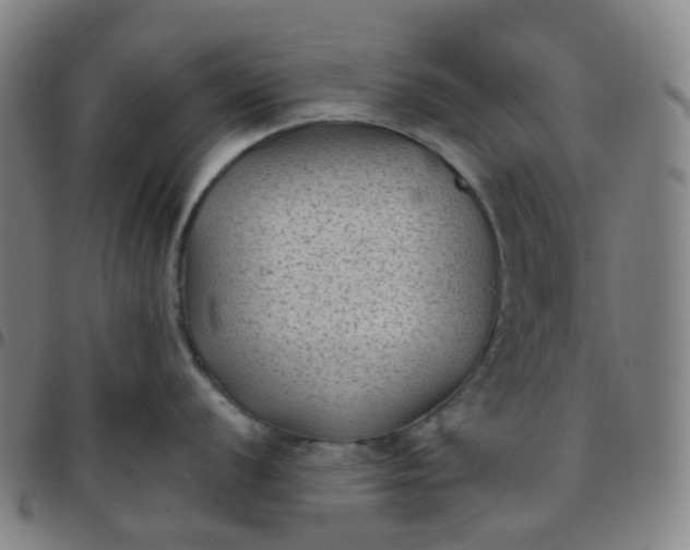 X0000097501056200803071758