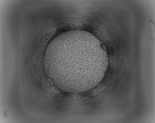X0000097501057200803071757